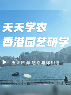 与香港园艺学会联合举办香港园艺研学，专业园境师带队讲解。