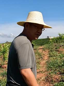 农业人叶涛，50多岁通讯人跨界搞农业，他要用1000万打造一个梦。